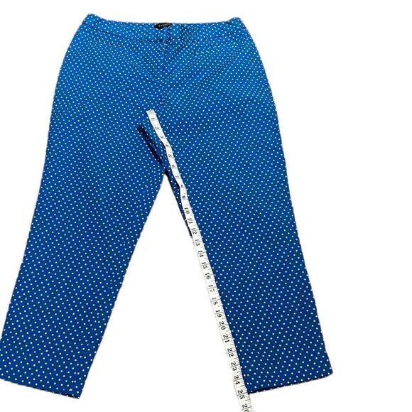 Talbots Women’s Hampshire Curvy Blue With With Polkadots Ankle Pants, Size 10P - Picture 6 of 7